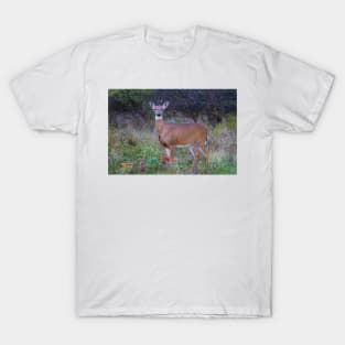 Doe Queen - White-tailed deer T-Shirt